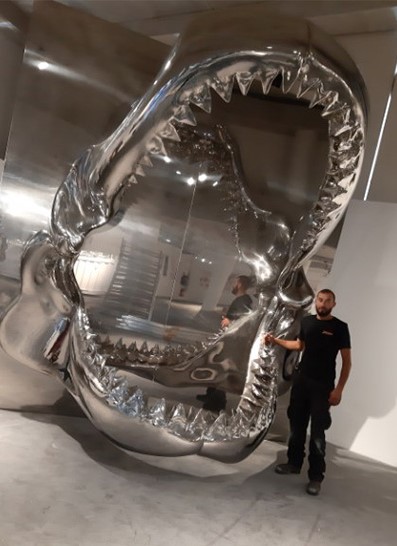 Machoire de megalodon